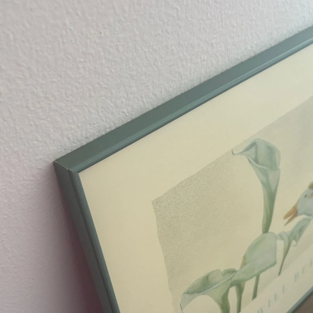 Z Gallerie Duck and calla Lilly framed photo